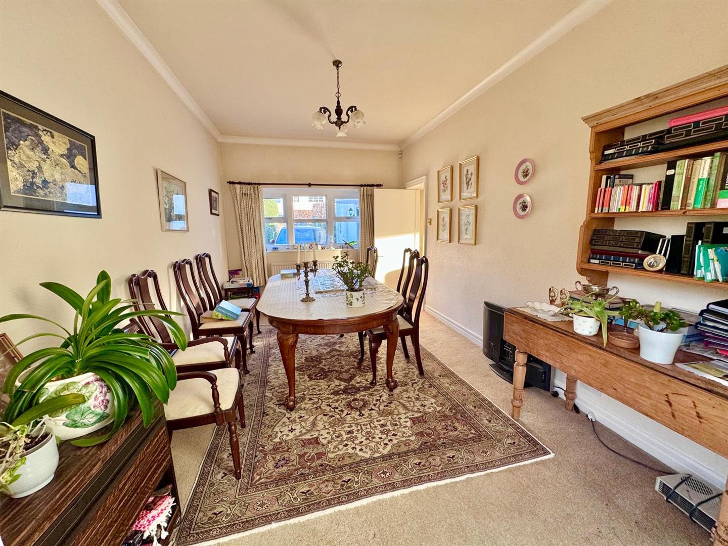 PHOTO-2026-02-20-18-47-43 (27).jpg